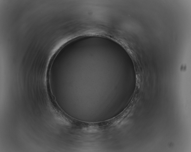 X0000094430196200711211441