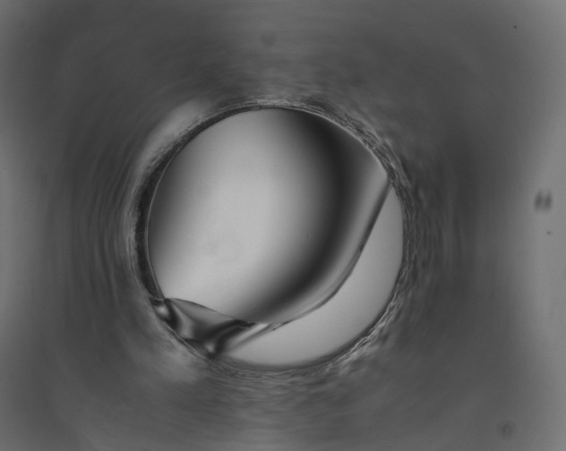 X0000094430197200711211441