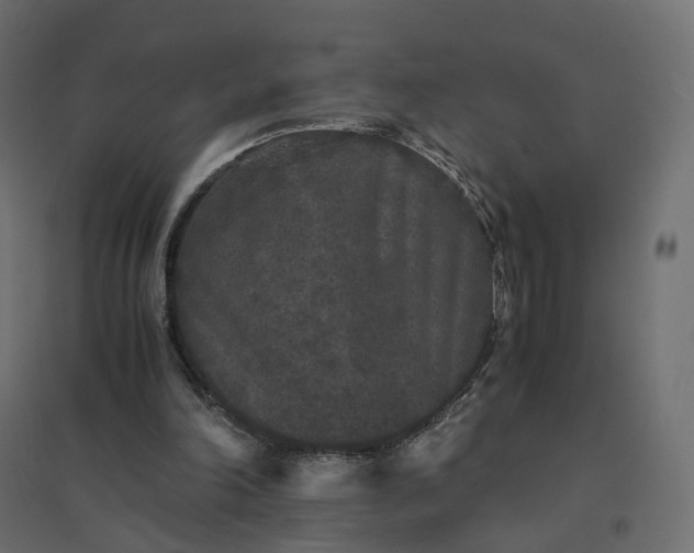 X0000094430198200711211441