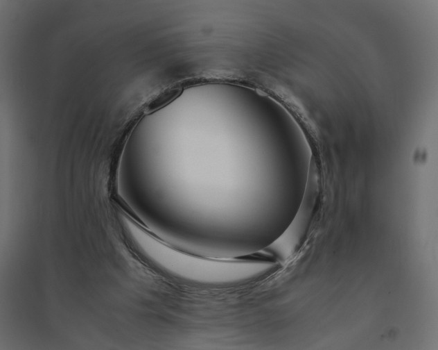 X0000094430201200711211441