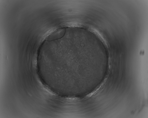 X0000094430202200711211441