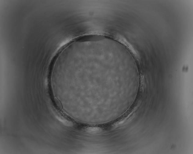 X0000094430203200711211441