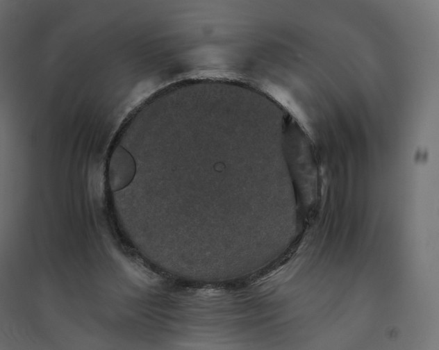 X0000094430204200711211441