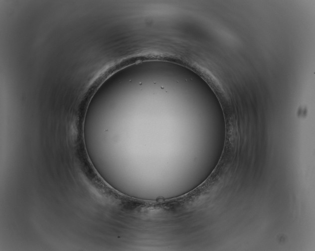 X0000094430208200711211441