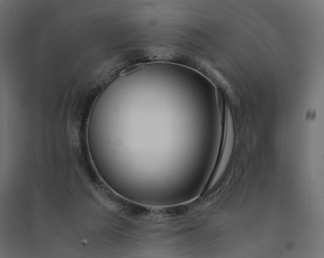 X0000094430209200711211441