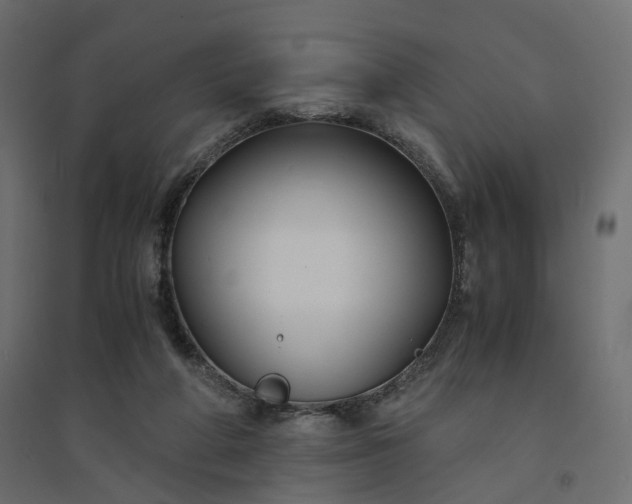 X0000094430210200711211441
