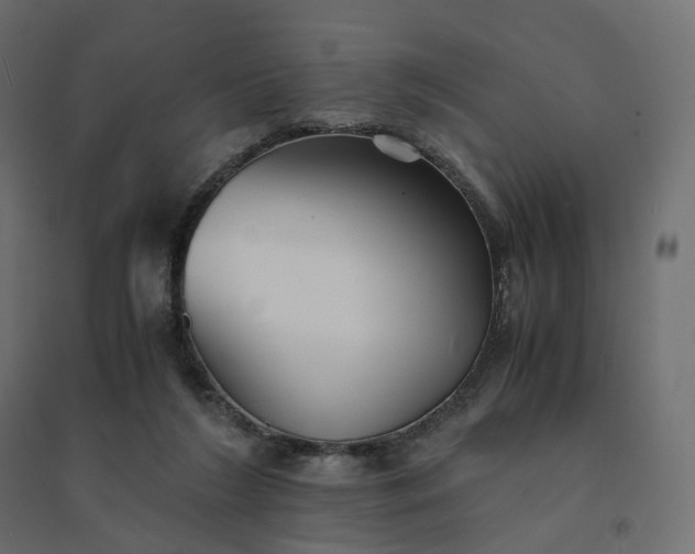 X0000094430212200711211441