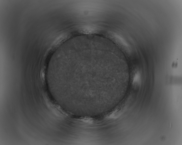 X0000094430214200711211441