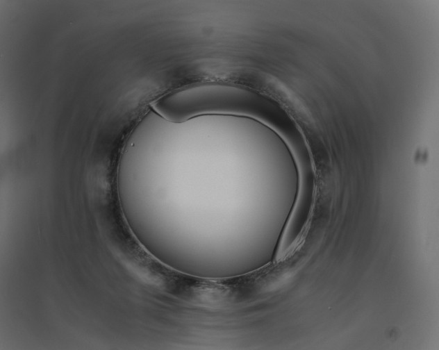 X0000094430215200711211441