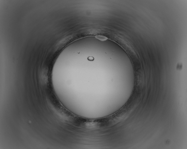 X0000094430216200711211441