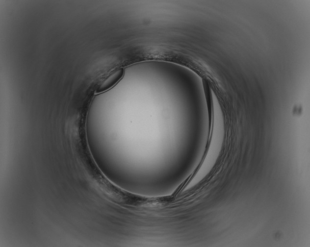 X0000094430217200711211441
