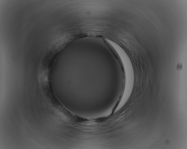 X0000094430219200711211441