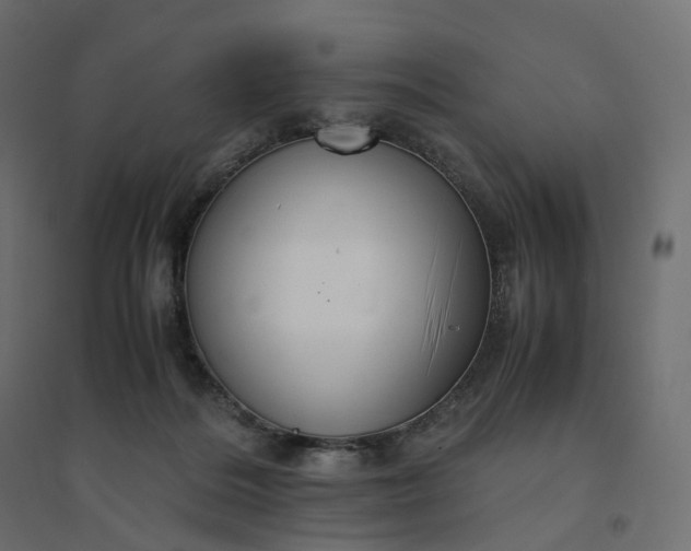 X0000094430220200711211441