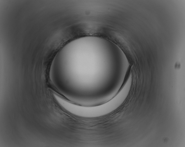 X0000094430221200711211441