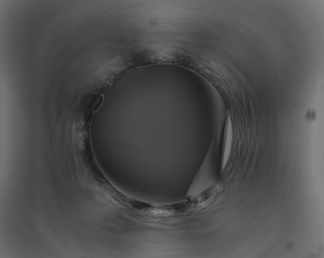 X0000094430223200711211441