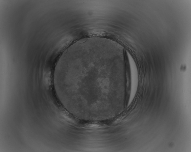 X0000094430224200711211441