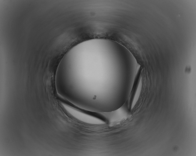 X0000094430225200711211441