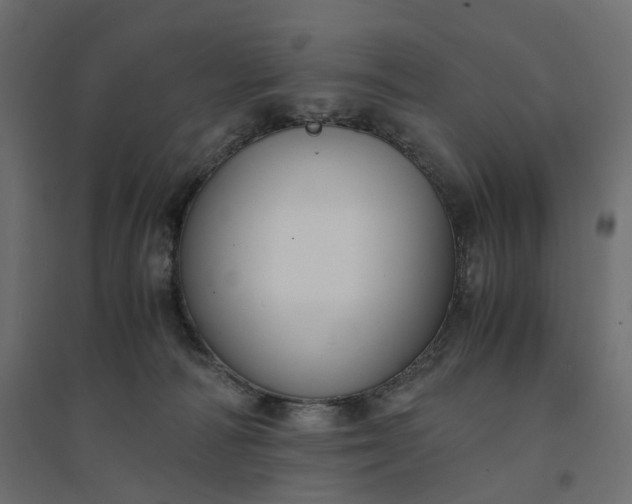 X0000094430226200711211441