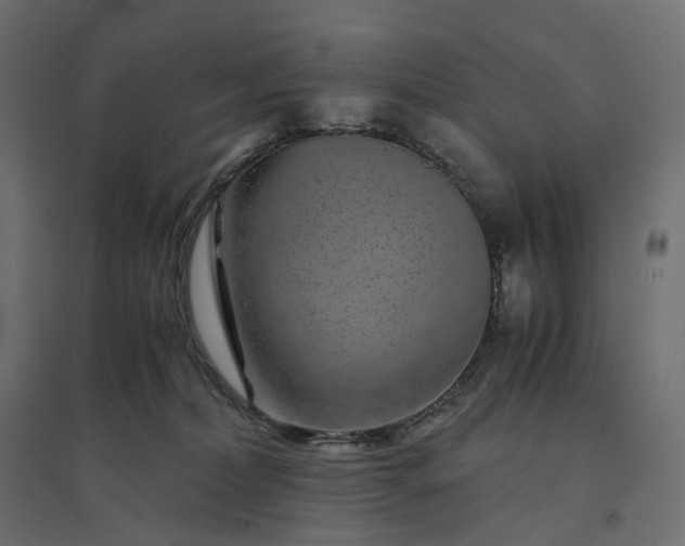 X0000094430228200711211441