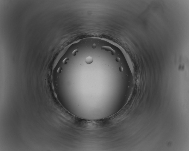X0000094430229200711211441