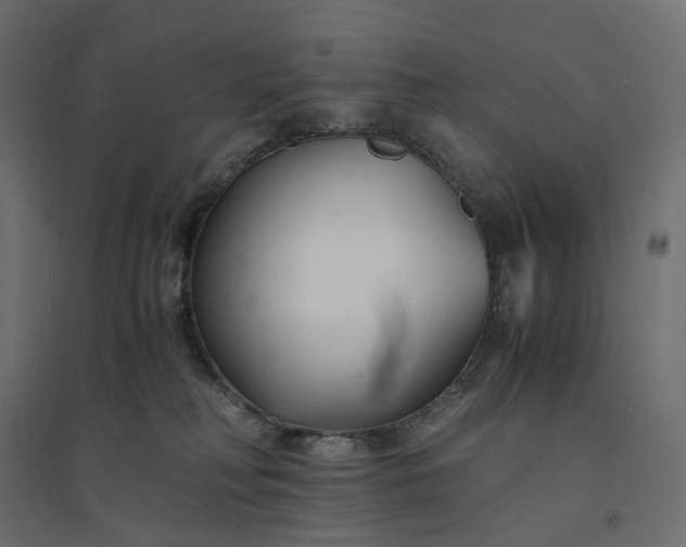 X0000094430230200711211441