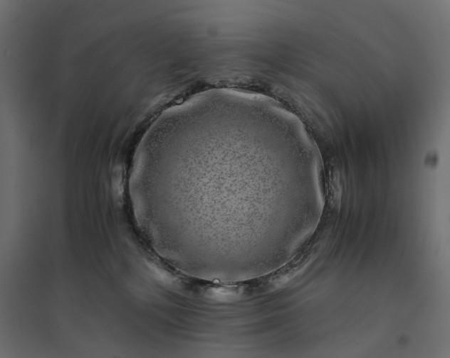 X0000094430232200711211441