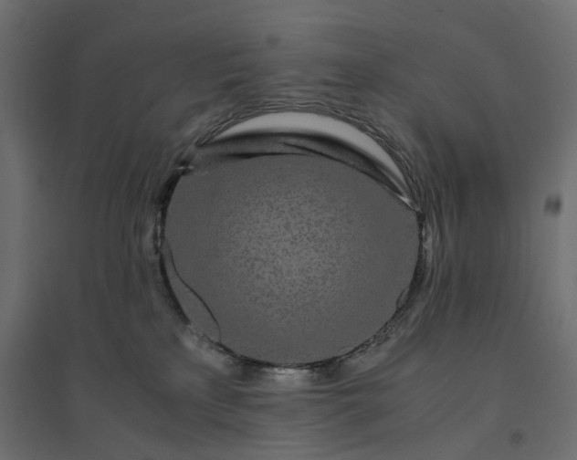X0000094430233200711211441
