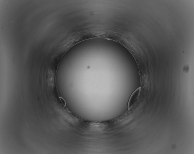 X0000094430234200711211441