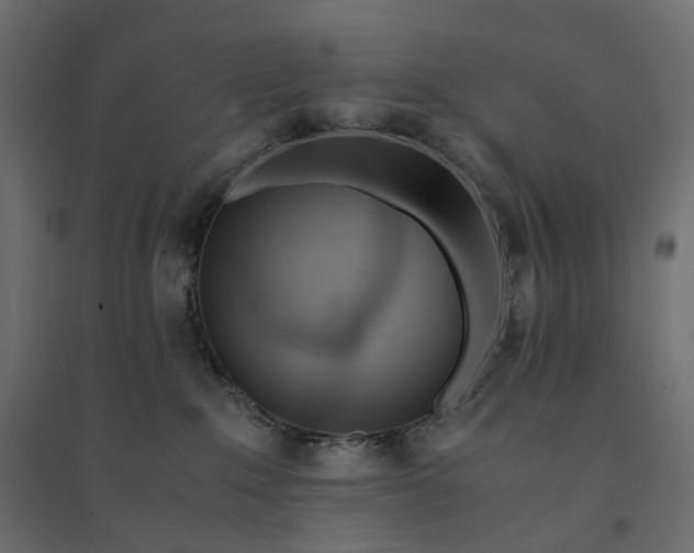 X0000094430235200711211441