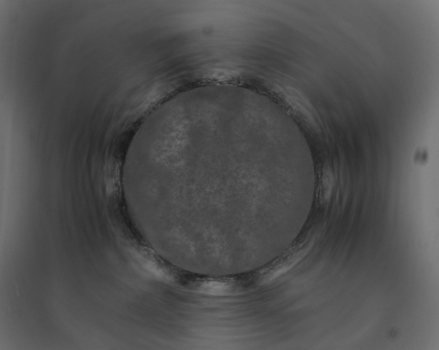 X0000094430236200711211441