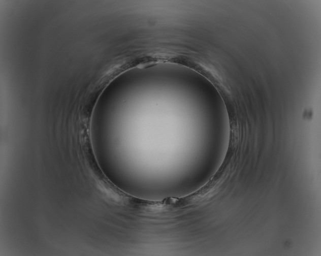 X0000094430237200711211441