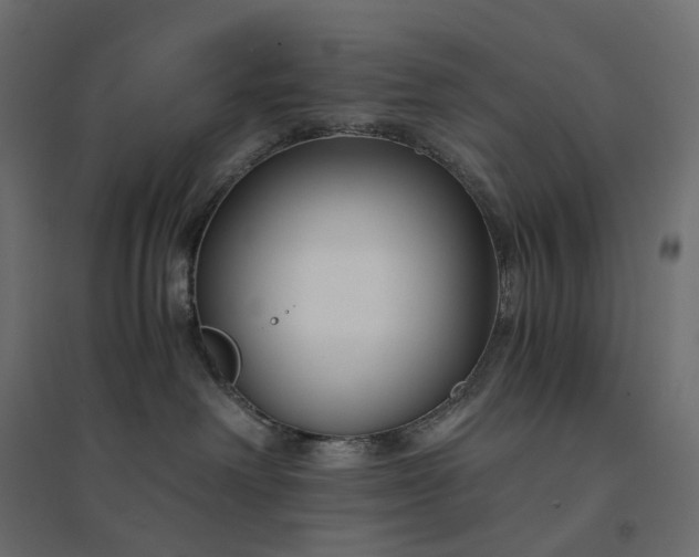X0000094430238200711211441