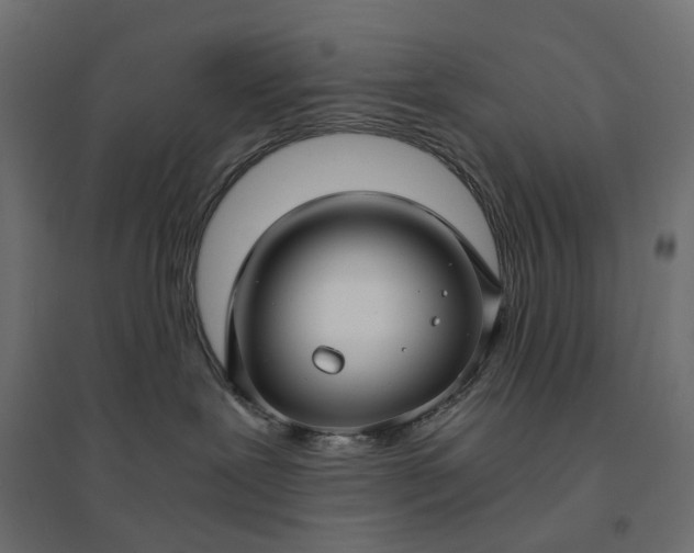 X0000094430239200711211441