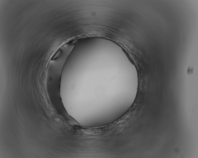 X0000094430241200711211440