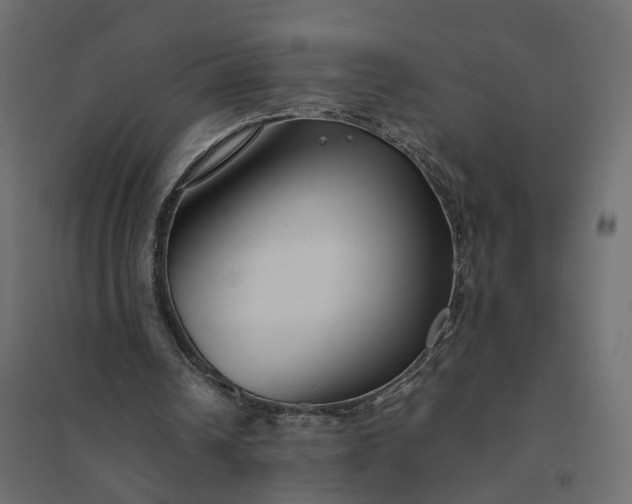 X0000094430242200711211440