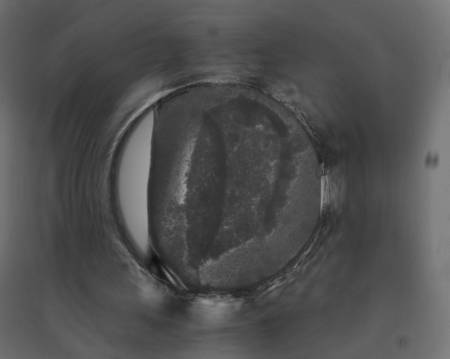 X0000094430243200711211440