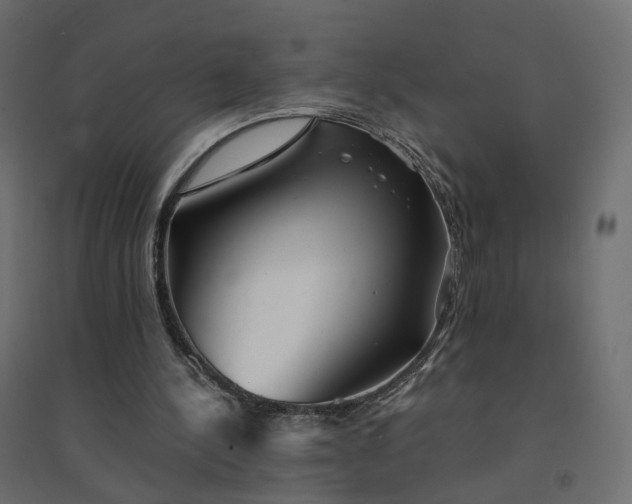 X0000094430244200711211440