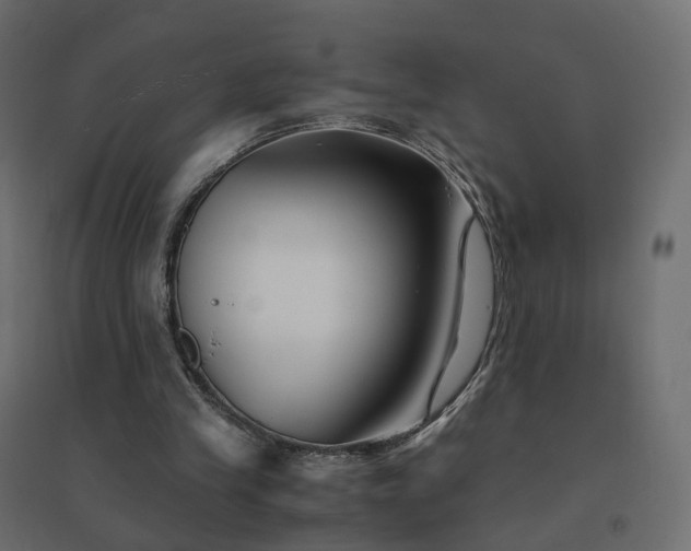 X0000094430245200711211440