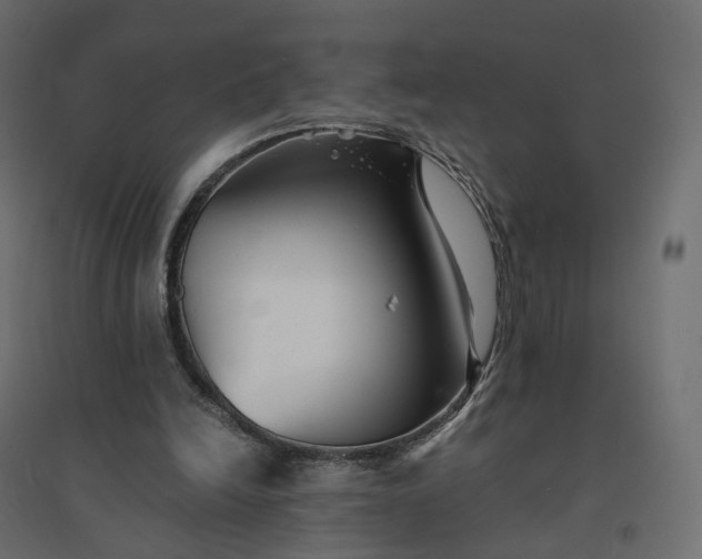 X0000094430246200711211440