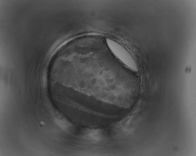 X0000094430247200711211440
