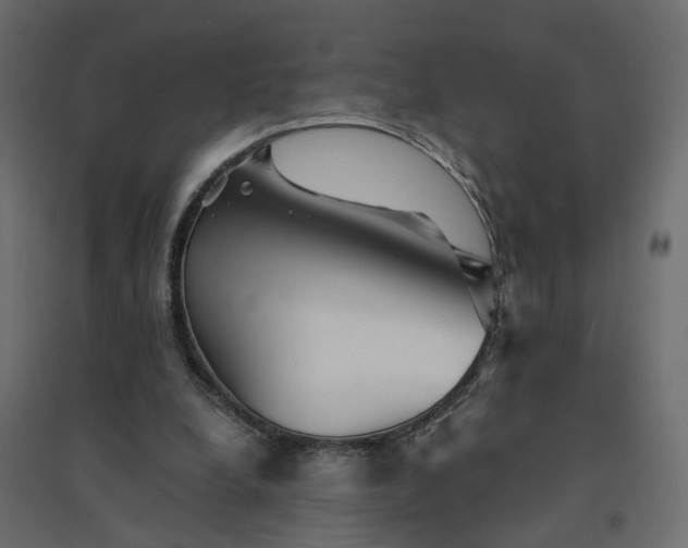 X0000094430248200711211440