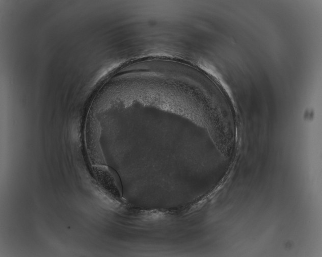 X0000094430249200711211440