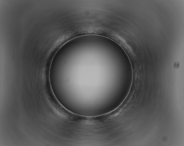 X0000094430250200711211440