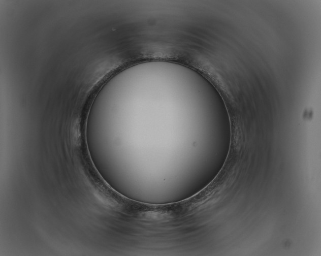 X0000094430251200711211440