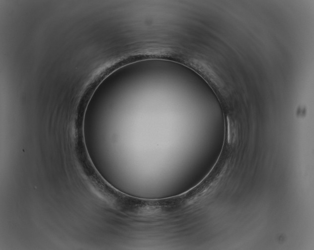 X0000094430252200711211440