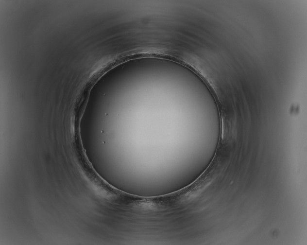 X0000094430253200711211440