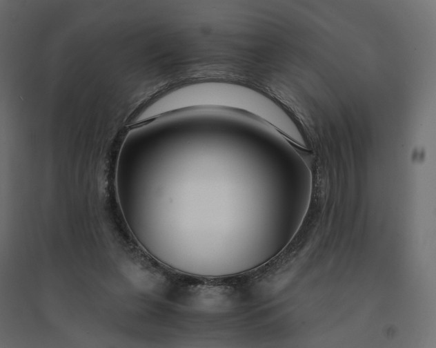 X0000094430255200711211440