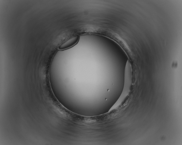 X0000094430257200711211440