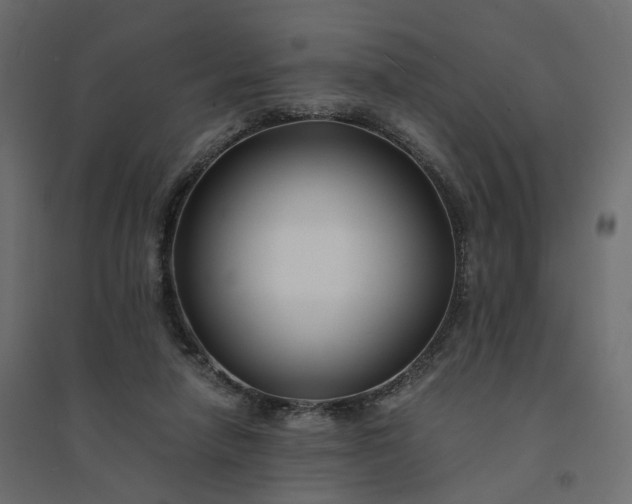 X0000094430258200711211440