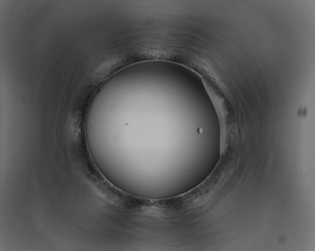 X0000094430259200711211440